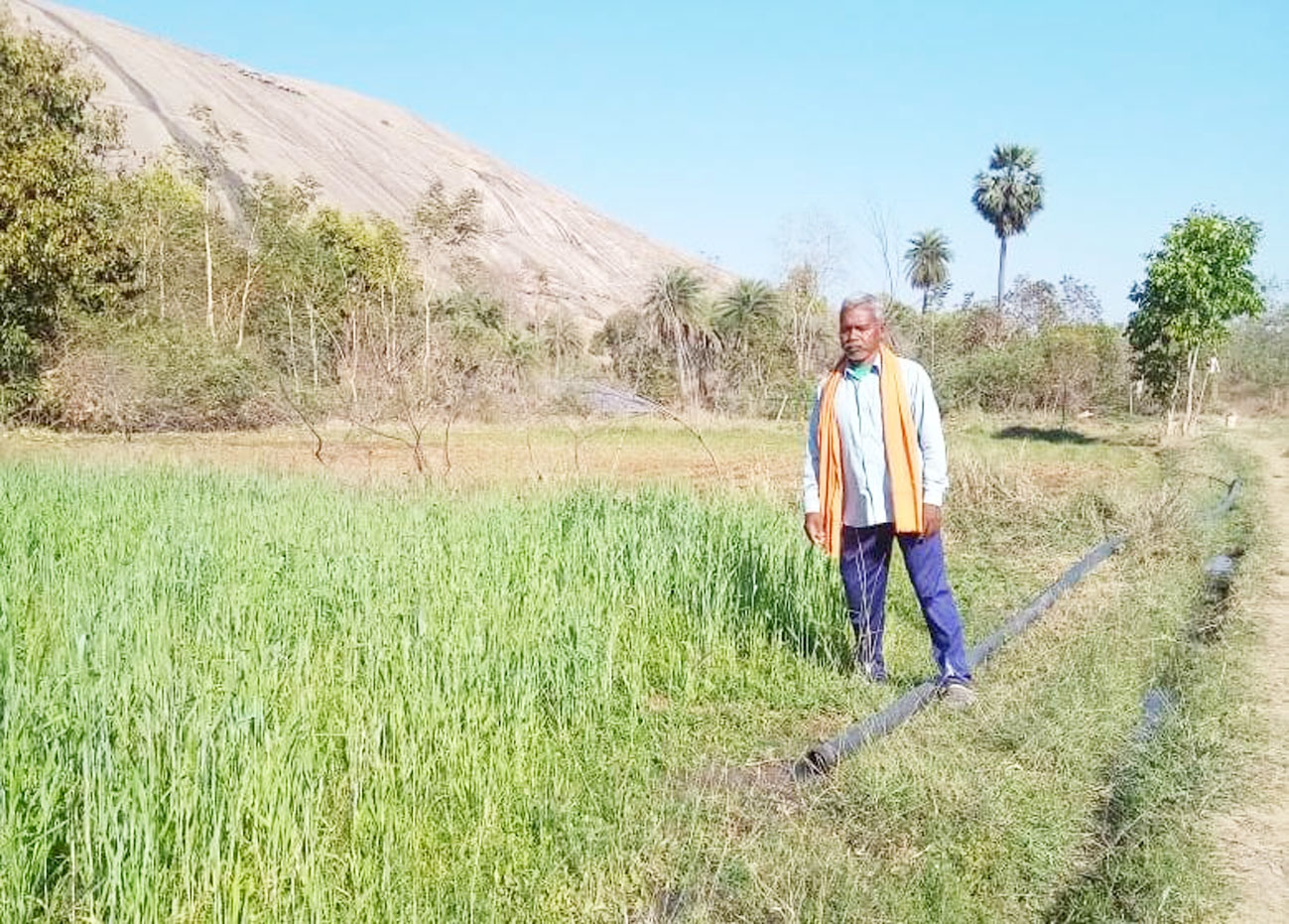 कृषक सुखसाय रबी और खरीफ फसल लेकर हो रहे लाभान्वित