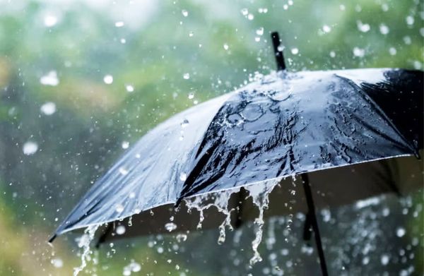 छत्तीसगढ़ में अब तक 142.4 मि.मी. औसत वर्षा दर्ज
