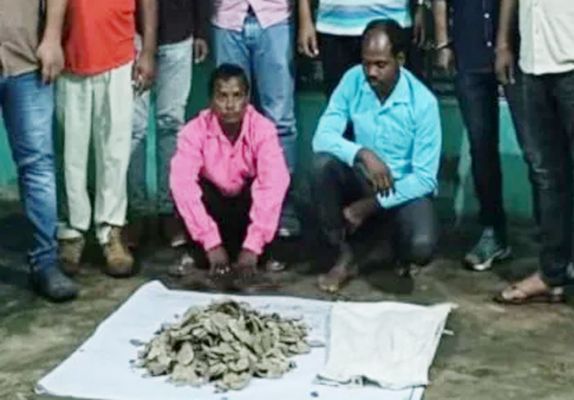करोड़ों रुपए की पैंगोलिन की स्केल बरामद, दो तस्कर गिरफ्तार
