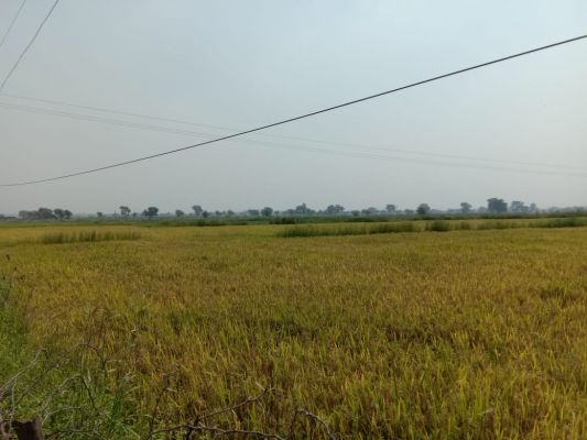  धान खरीदी को लेकर महत्वपूर्ण बैठक