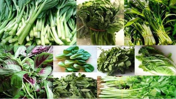 सर्दियों में हरी सब्जियों  खाने के फायदे जानिए 