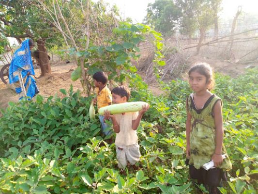  कुपोषण को दूर करने 22 हजार आंगनबाड़ी केन्द्रों में बनी पोषण वाटिकाएं