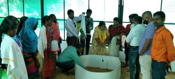 ग्राम पंचायत बोलबाला के गोठान में मुर्गीपालन हेतु प्रशिक्षण आयोजित