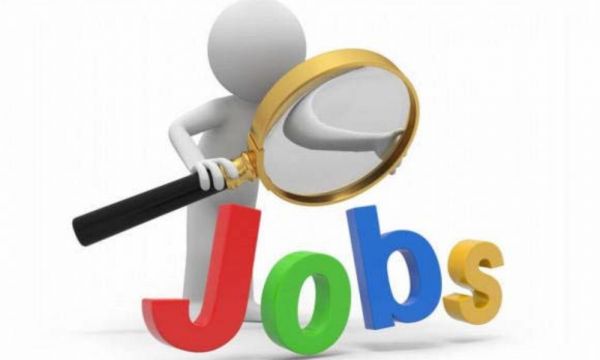 प्लेसमेंट कैंप में 14 छात्रों का हुआ चयन 