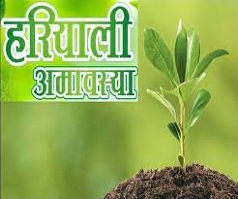 आज है हरियाली अमावस्या, इस मौके पर अपनी राशि के अनुसार लगाए पौधे
