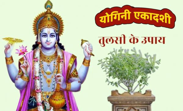 योगिनी एकादशी पर करें तुलसी के ये उपाय, बढ़ेगा धन और सुख