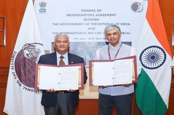 India ने इंटरनेशनल बिग कैट एलायंस के साथ मुख्यालय समझौते पर हस्ताक्षर किए